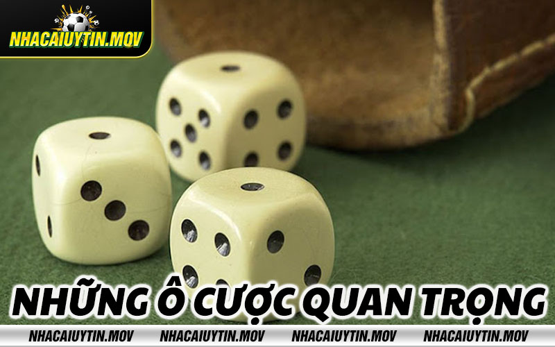 Nhung o cuoc quan trong Những ô cược quan trọng
